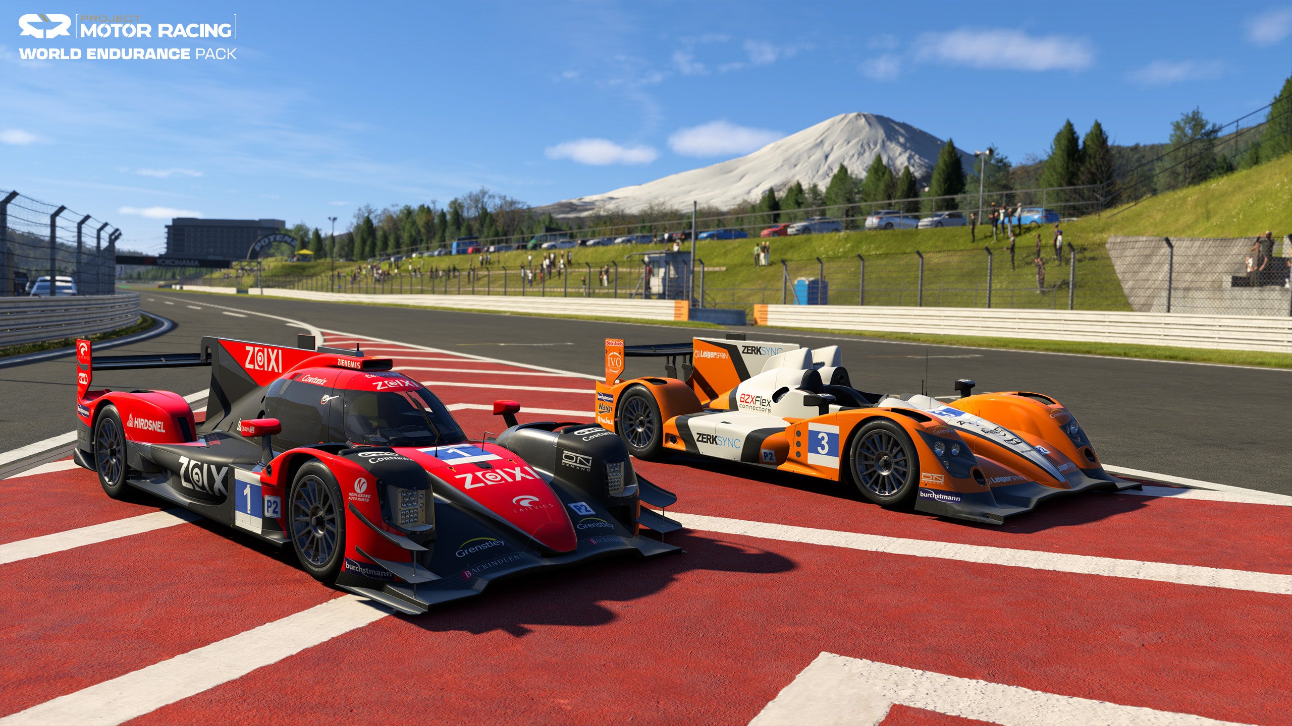 World Endurance Packの耐久レース車両を示す公式ゲーム画面